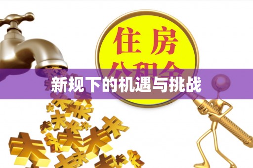 和布克赛尔新规下的机遇与挑战