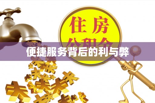 和布克赛尔便捷服务背后的利与弊